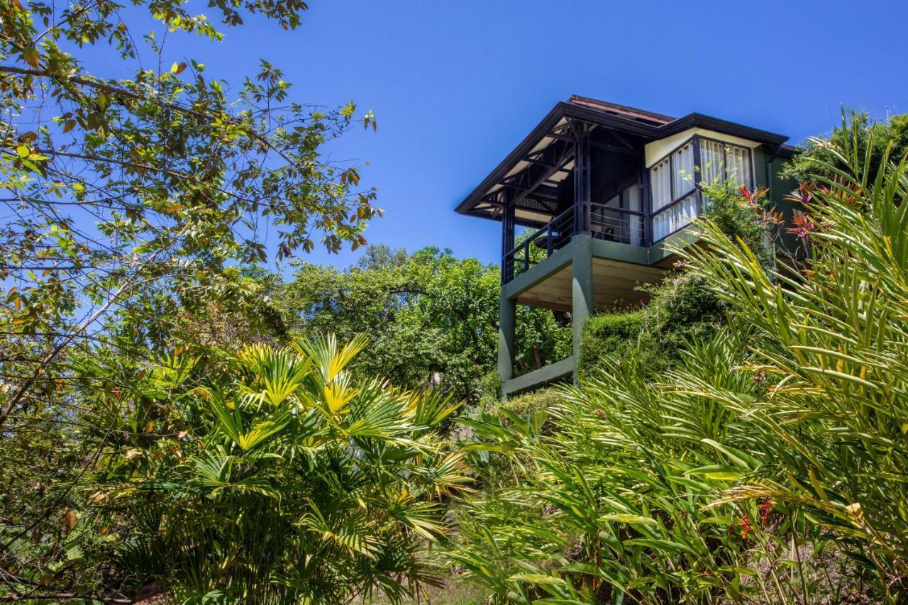Tiki Villas Rainforest Lodge - Adults Only Uvita Eksteriør bilde